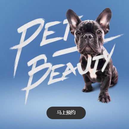 毕节市宠物中心小程序开发