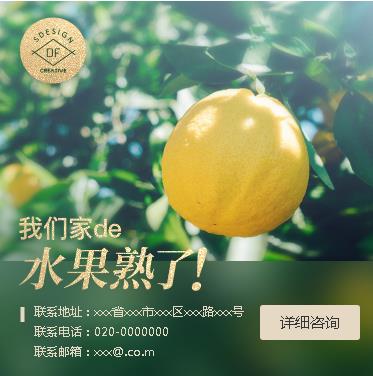 毕节市果园果林小程序开发